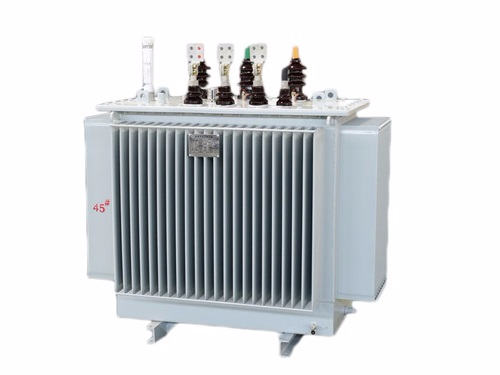 S11-100KVA/10KV/0.4KV�ͽ�ʽFH����-FH�й�����